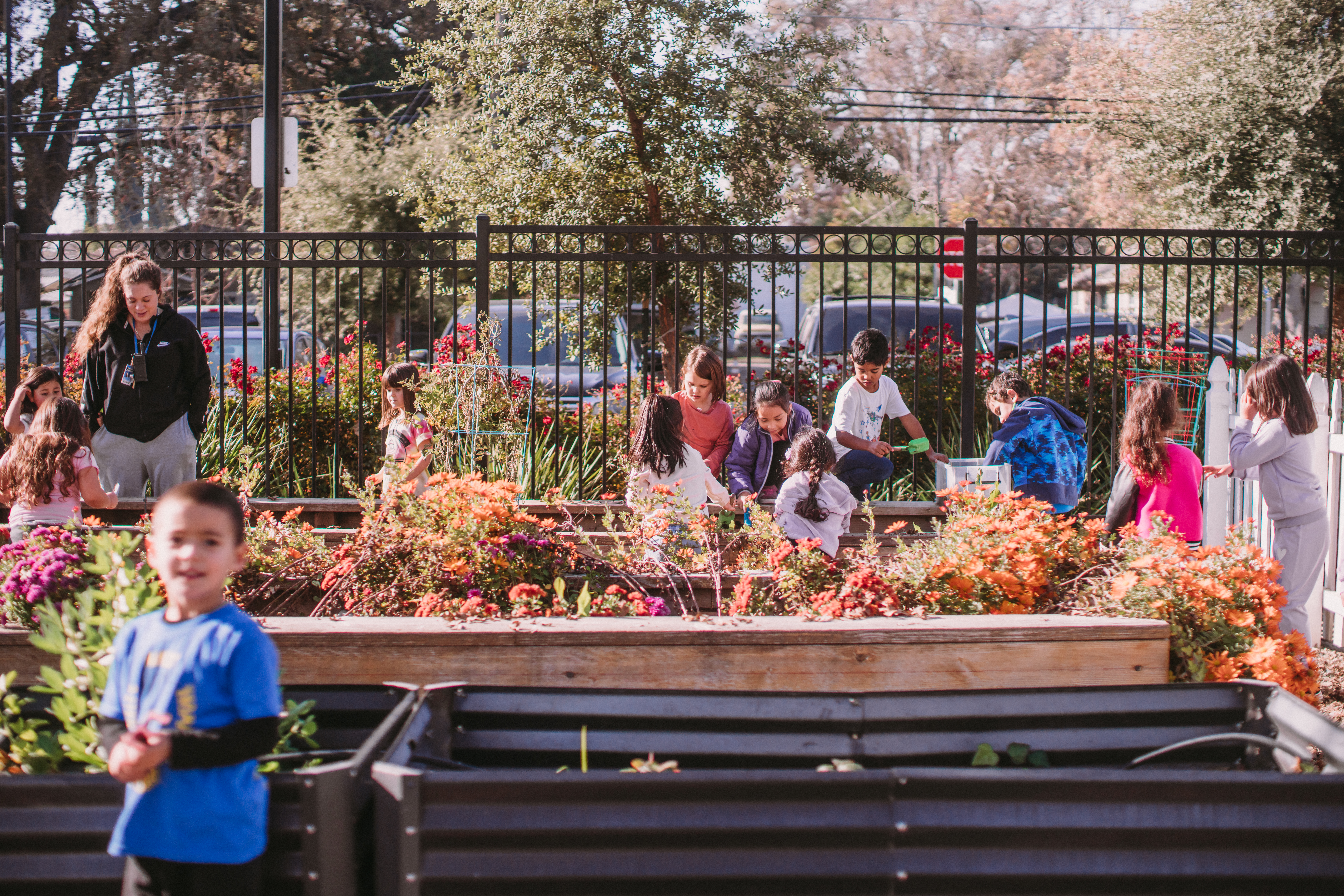 Young students working in the school's garden beds.